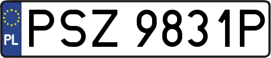 PSZ9831P