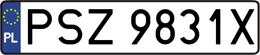 PSZ9831X