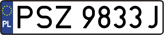 PSZ9833J