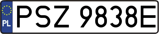 PSZ9838E