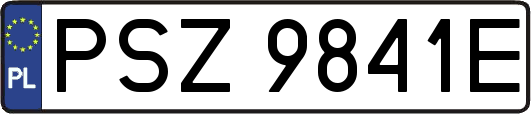 PSZ9841E