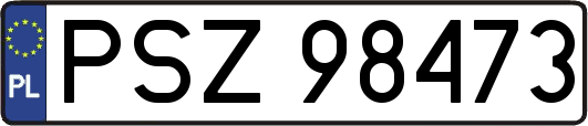 PSZ98473