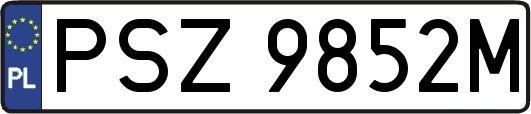 PSZ9852M