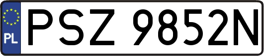 PSZ9852N