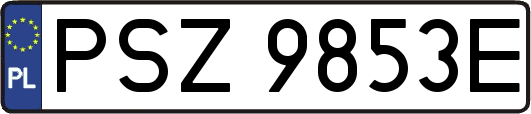 PSZ9853E