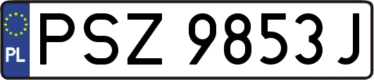 PSZ9853J