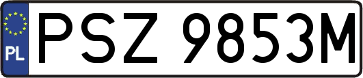 PSZ9853M