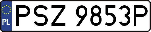 PSZ9853P