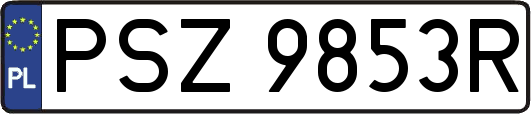 PSZ9853R