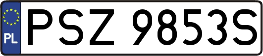 PSZ9853S