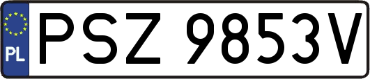 PSZ9853V