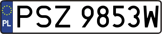 PSZ9853W