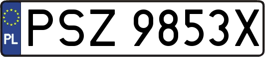 PSZ9853X