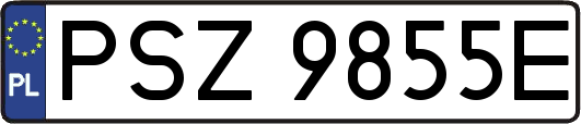 PSZ9855E