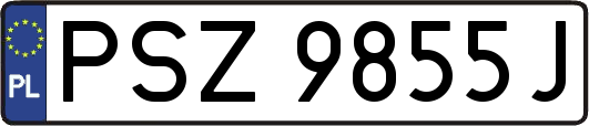 PSZ9855J