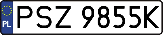 PSZ9855K