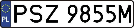 PSZ9855M