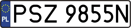 PSZ9855N