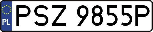 PSZ9855P