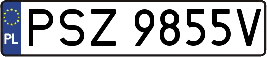 PSZ9855V