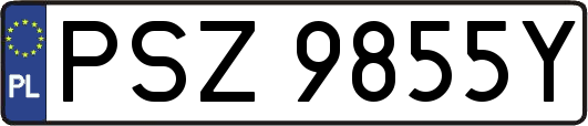 PSZ9855Y