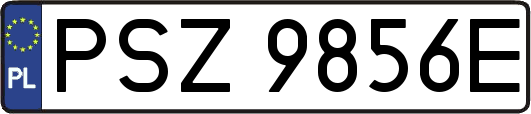 PSZ9856E