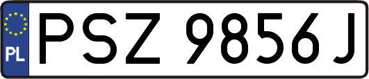 PSZ9856J