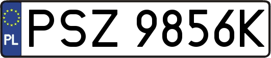 PSZ9856K