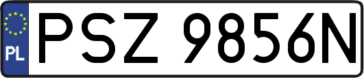 PSZ9856N