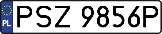 PSZ9856P