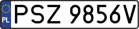 PSZ9856V