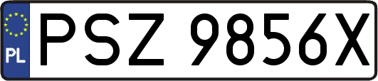 PSZ9856X