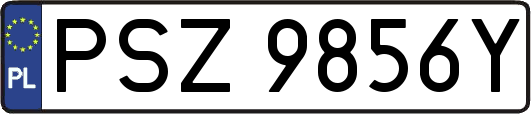 PSZ9856Y