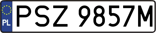 PSZ9857M