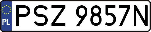PSZ9857N