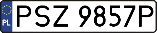 PSZ9857P