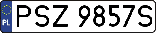PSZ9857S