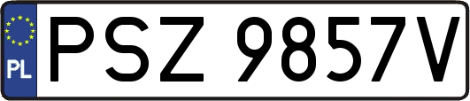 PSZ9857V