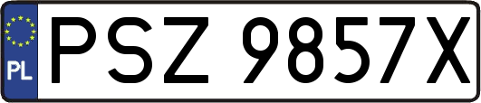 PSZ9857X