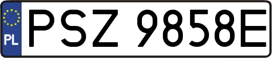 PSZ9858E