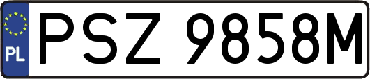 PSZ9858M