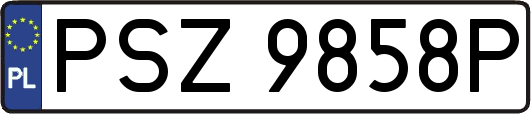 PSZ9858P