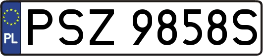 PSZ9858S