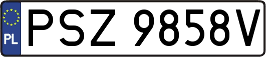 PSZ9858V