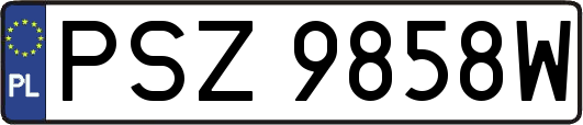 PSZ9858W