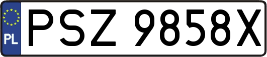 PSZ9858X