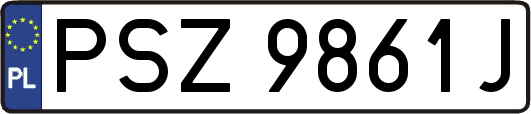 PSZ9861J