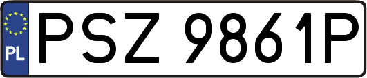 PSZ9861P