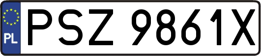 PSZ9861X