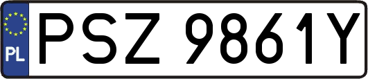 PSZ9861Y